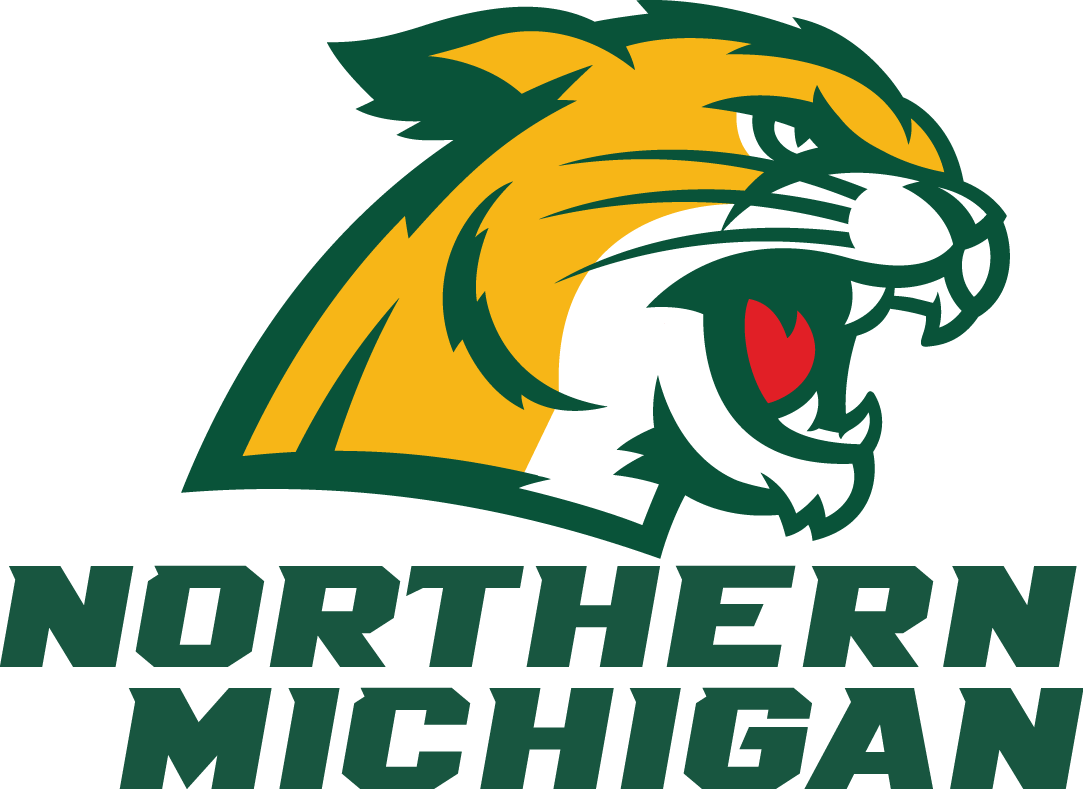 Northern Michigan Wildcats 2016-Pres Alternate Logo diy iron on heat transfer